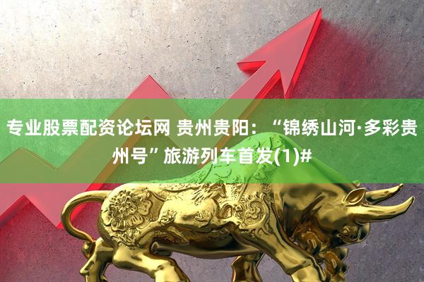 专业股票配资论坛网 贵州贵阳：“锦绣山河·多彩贵州号”旅游列车首发(1)#
